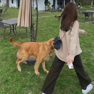 地狱美女